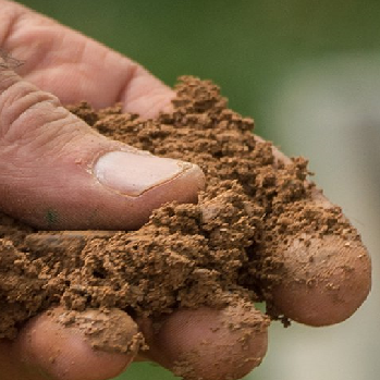 Soils and Soil Fertilitypng